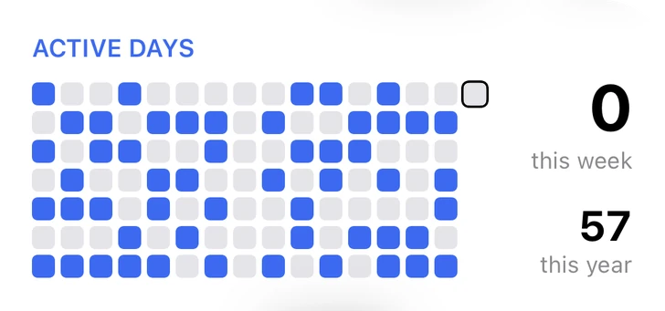 Active Days widget showing every day trained over the last months